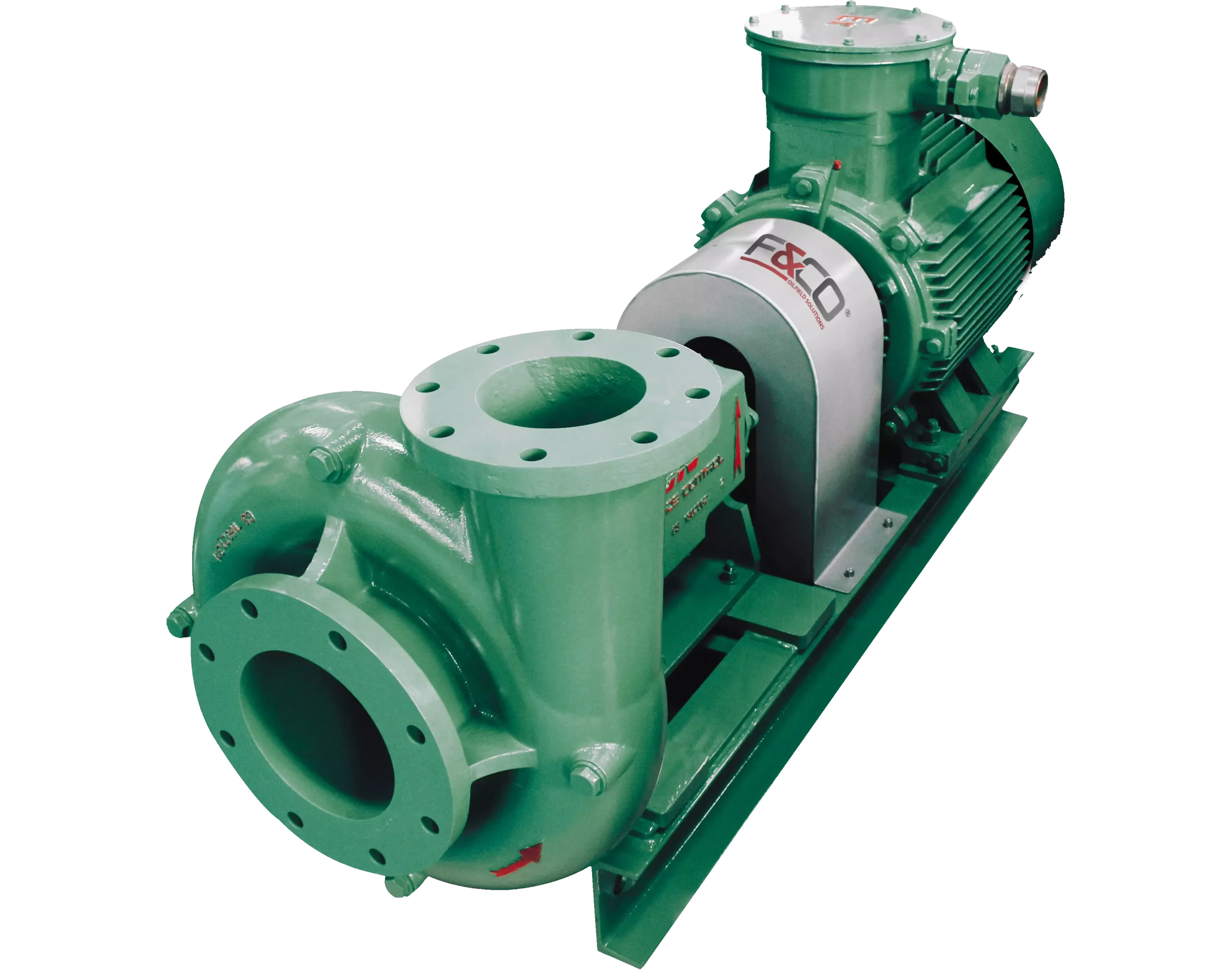 Pumps 15 (1)